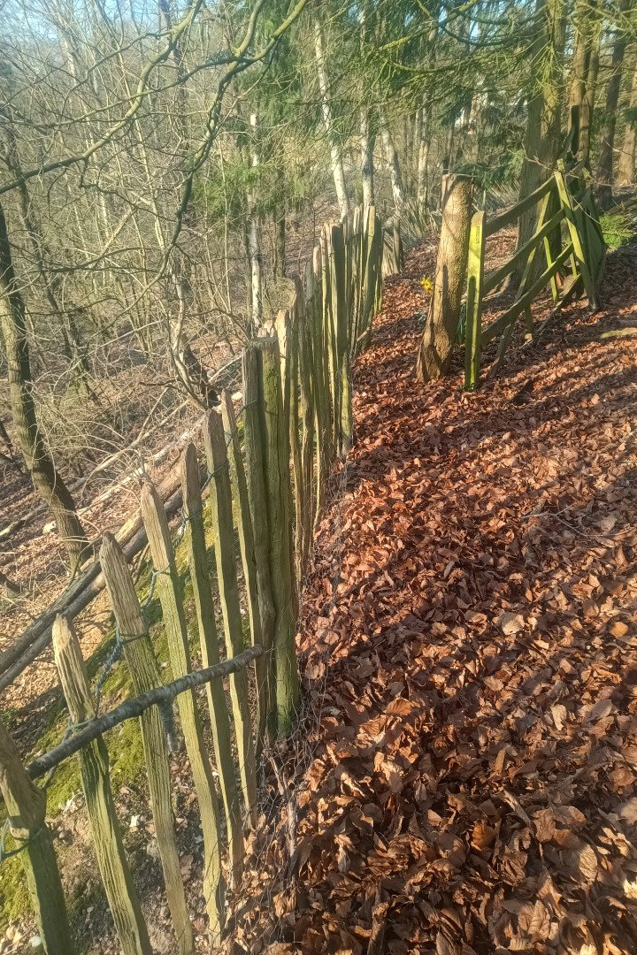 Fence project by M Fencing & More